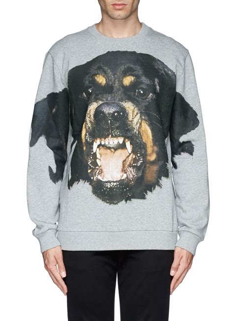 givenchy rottweiler sweatshirt